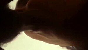 Mommy you love sucking that cock don't you mama cachorra