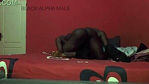 hot sun sweat during rough hairy bbc pussy pounding full vid