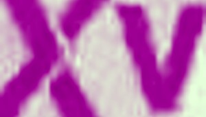 Mega Bitch Holy Wood Takes DVP DAP TP from Six Cocks!