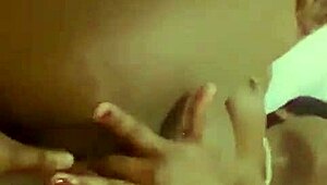 Nigarchrist Update 1292 Petal June 1 2025