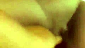 Nigarchrist Update 1292 Petal June 1 2025