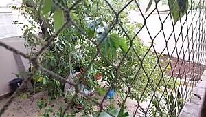 girl next door didnt expect neighbors huge bbc anal love