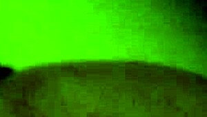 i couldn't stop watching my neighbor fuck so wildly next door