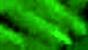 veronica leal gets DPED and rimmed by seductive lesbian babes at the POOL