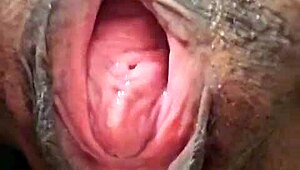 brenda from floripa rips clothes off and masturbates solo like a total tease