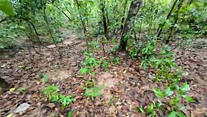 amateur thai villagers fuck hard in public forest 4k outdoor creampie