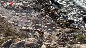 Horny beach voyeur gets fucked wildly by stranger!