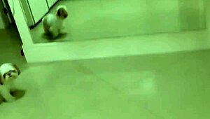 hot asian wife sucks monster cock at swingers house then fucks home for cuck cum