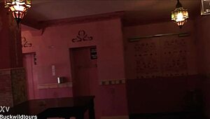 explore pascha's wild vibes as a tourist in koln cologne germany