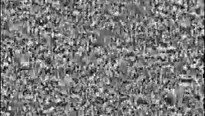 Tomb Raider Goes Wild! Nude Outdoor Adventure Turns Into Public Monster Fuck Fest