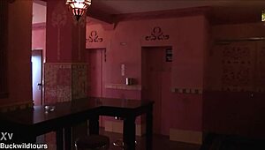 explore pascha's wild vibes as a tourist in koln cologne germany