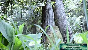 After her sweaty workout she heads to mama's studio for a massive cumshot explosion