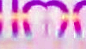 god, my first time as hot teen camila smith chugging pee then taking three monster cocks dp with cum swallow