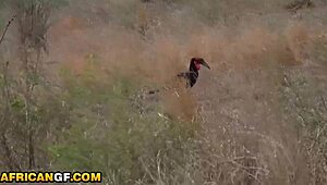 Ever wonder how that super tight ebony pussy handles a big cock in a camper?