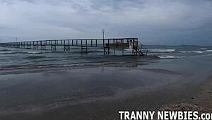 Shemale Cock Tastes Insane in Threesome Blowbang!