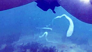 swimming underwater after creampie cum fills her fat chubby milf pussy at the pool