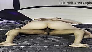 Babysitter texts me after cuckold leaves: come fill my ass with your cock in the bathroom?