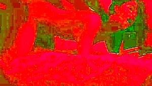 wanna watch fat wife moan juicy in kitchen doggystyle?? birthday sex ends passionate