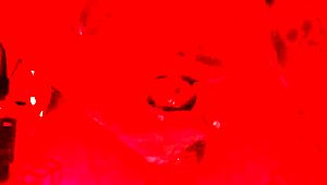 Hallelujah Johnson Worships Massive Black Hairy Cock Devotionally