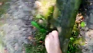 wanna see me balancing barefoot outdoors in sheer pantyhose teasing my german nylon toes and feet