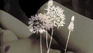 DARK LANTERN'S VINTAGE TABOO MOMMY BEAVER CONFESSIONS FROM VICTORIAN GENTLEMAN!