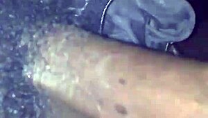 williecum-xxx slurps monster bbc in sloppy carplay action