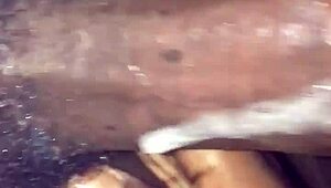 williecum-xxx slurps monster bbc in sloppy carplay action