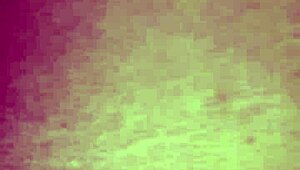 i got da biggest ass latina culo mas rico del mundo eva