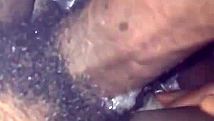 williecum-xxx slurps monster bbc in sloppy carplay action