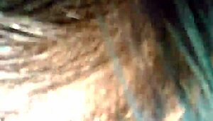 Hey ex gimme that outdoor head in my stunna shades