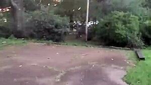 Wolfdaddy901 barebacks Impregnablelexa anal creampie in public park!