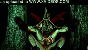 little 18yo anal bug lily thot crawls mud bound spanked rough outdoor submission