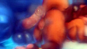 bold furry zonkpunch unleashes sexy wild action now