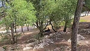 curvy latina big ass couple rips clothes for public castle outdoor flashing voyeur fetish sextrip