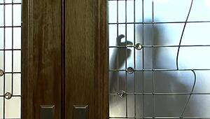 זין שחור גדול