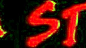 Chick jerks monster gloryhole cock to facial in toilet