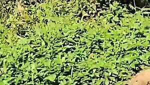 Abandoned House Tease Turns into Wild Crossdressing Ass Play