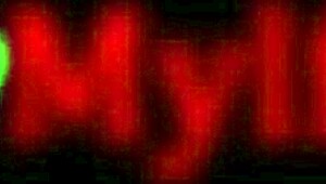 uhh stepmom ryan keely feels stepson sneaky gropes turning into full ride fuck