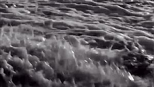 vintage erotic art reveals hidden sensual poses and curves