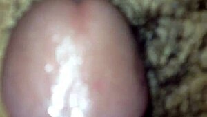 Discovering the Loving Wife's Hidden Desires in Vietnam