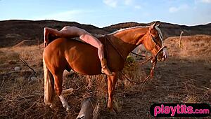 ever seen a big ass redhead milf strip tits outdoors then ride horse bareback?