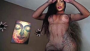 Tattooed Latina Shemale Spotlight
