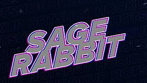 damn, petite hooker sage takes bryan gozzling's monster cock up ass