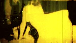 Vintage hairy beaver erotic poses tease antique desires?