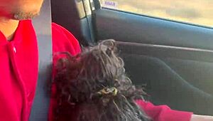 Curly babe spits on monster cock for public car deepthroat roadhead.