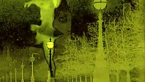 Vintage hairy beaver erotic poses tease antique desires?