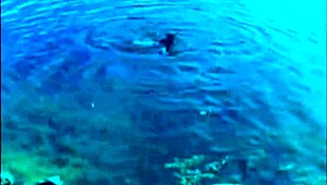 dark lantern entertainment uncovers vintage girls flashing hairy beavers and natural tits outdoors