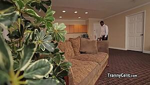 shemale crossdresser in stockings rides thick hard black cock deep