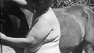 Dark Lantern unveils vintage nature girls hairy tits outdoors retro style