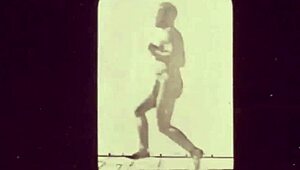 Dark Lantern unveils vintage nature girls hairy tits outdoors retro style